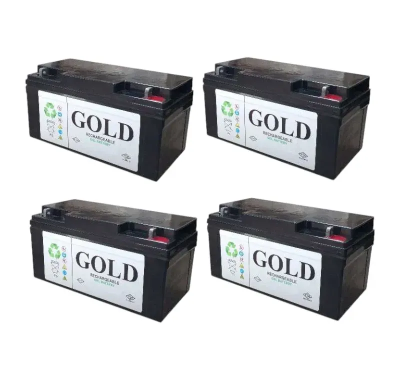 Temizlik Makinası Aküsü -Jel Akü Takımı